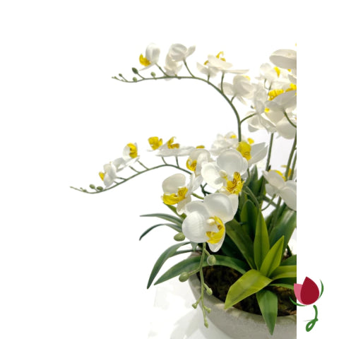 Orquídeas Bali M Brancas  | Vaso Cinza
