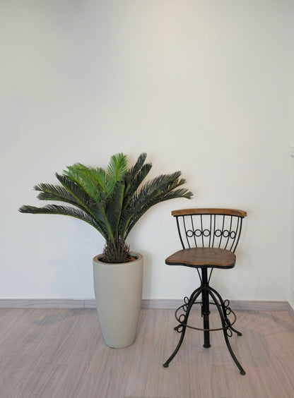 Palmeira Cycas (90cm H)