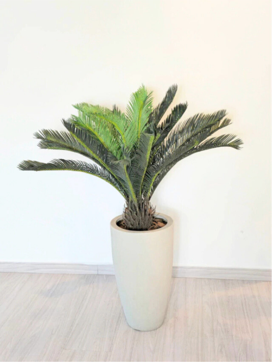 Palmeira Cycas (90cm H)