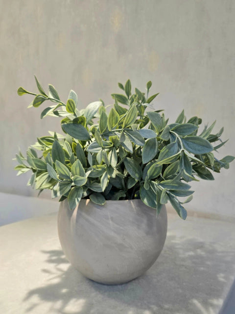 Arranjo Modern Athena