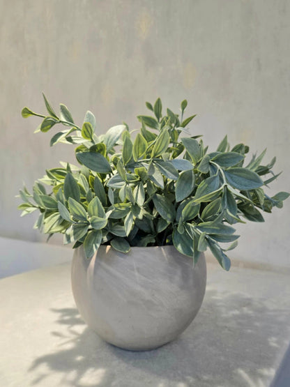 Arranjo Modern Athena