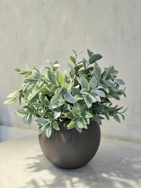 Arranjo Modern Athena