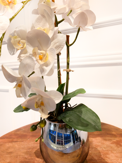 Arranjo Orquídea Dupla Silver
