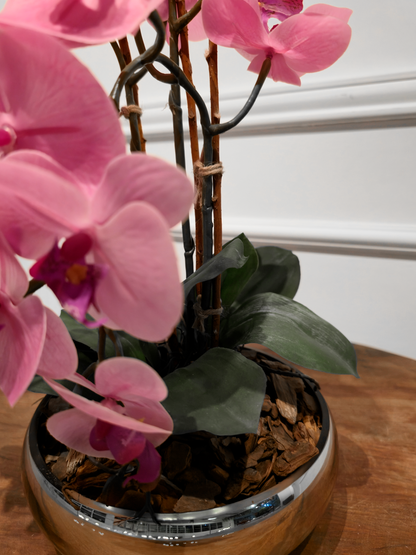 Arranjo Permanente Orquídeas Dupla Silver Rosa