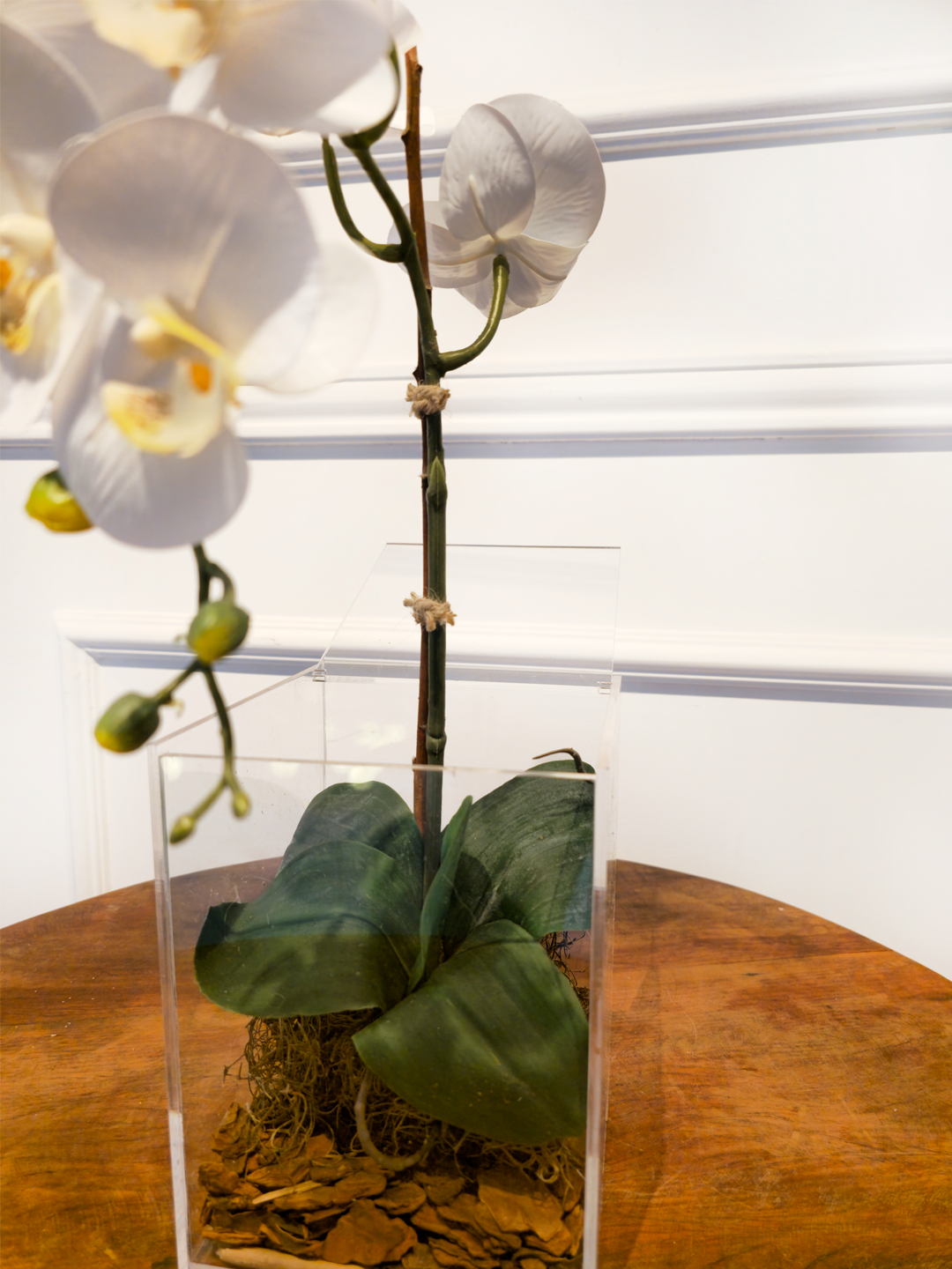 Arranjo Permanente Orquídea Solo Box Branca