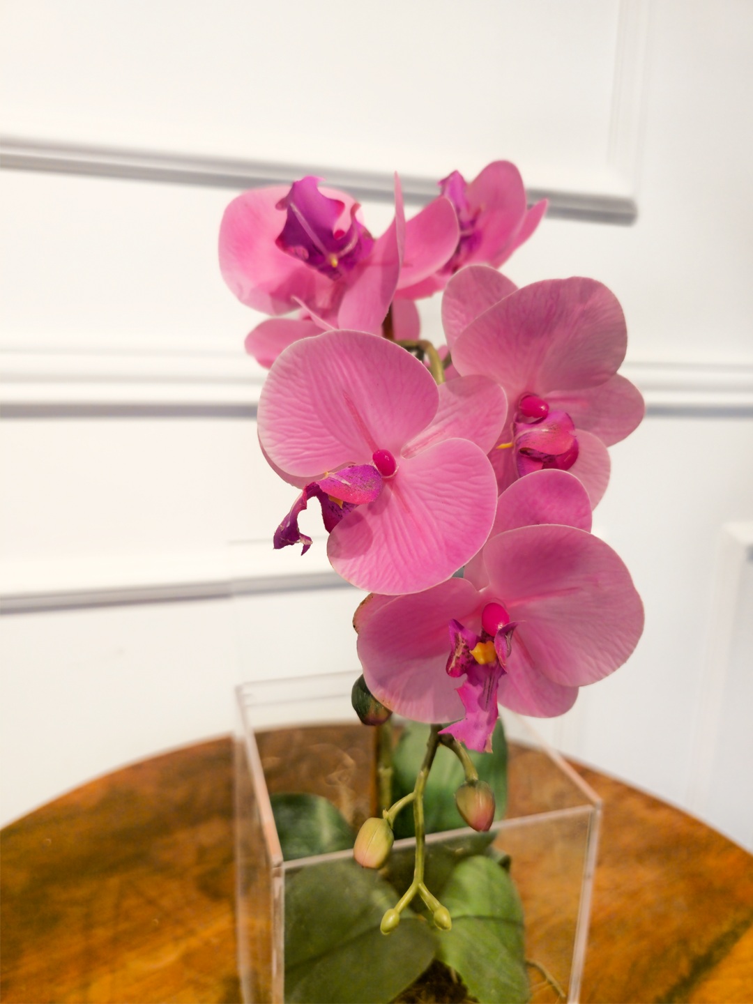 Arranjo Permanente Orquídea Solo Box Rosa