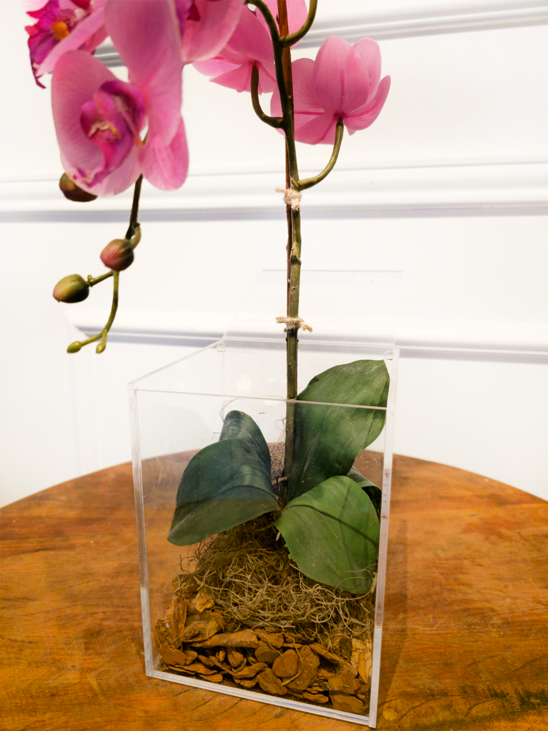 Arranjo Permanente Orquídea Solo Box Rosa