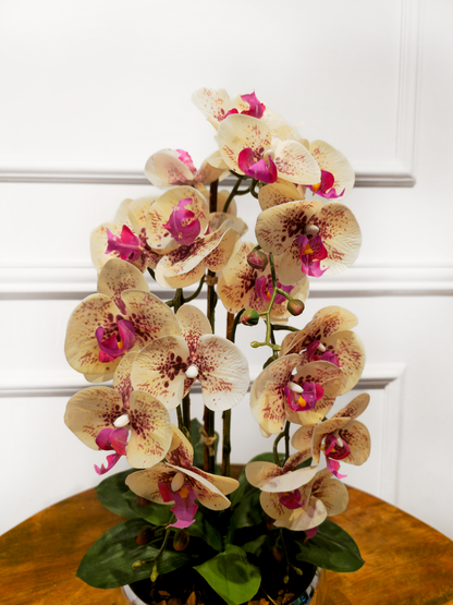 Arranjo Orquídeas Silver