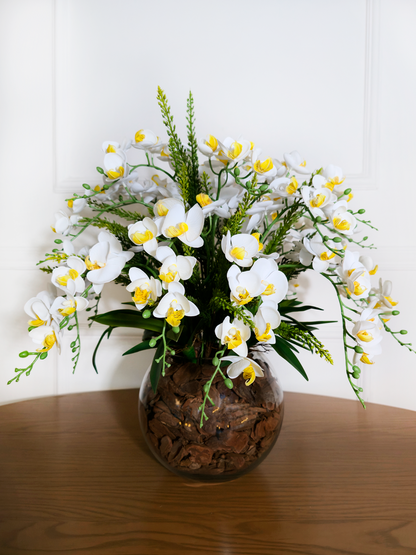 Arranjo Orquídeas Marta