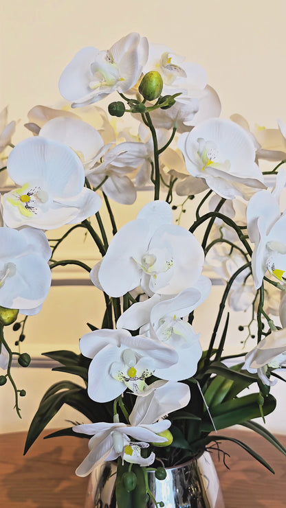 Arranjo Orquídeas Brancas Silver