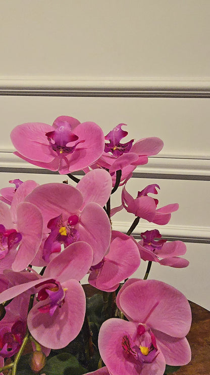 Arranjo Permanente Orquídeas Dupla Silver Rosa