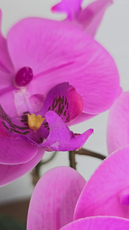 Arranjo Permanente Orquídea Rosa Juta (Box Dia das Mães)