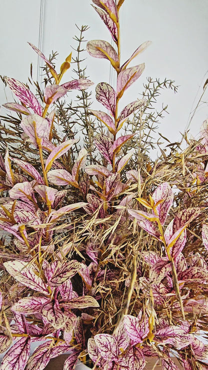 Arranjo Euphoria Pink