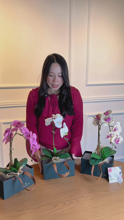 Arranjo Permanente Orquídea Branca Juta (Box Dia das Mães)