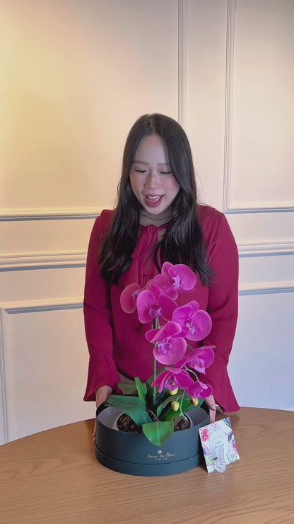 Arranjo Permanente Orquídea Pink Cerâmica (Box Dia das Mães)
