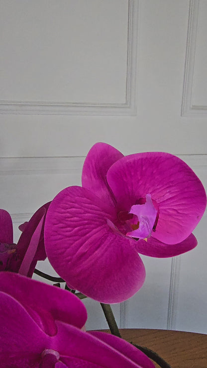Arranjo Permanente Orquídea Pink Cerâmica (Box Dia das Mães)