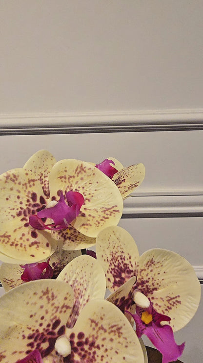 Arranjo Orquídeas Silver