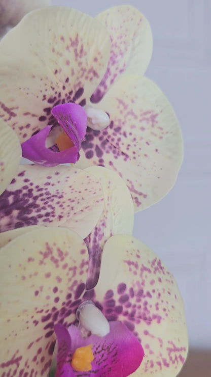Arranjo Permanente Orquídea Amarela Juta (Box Dia das Mães)