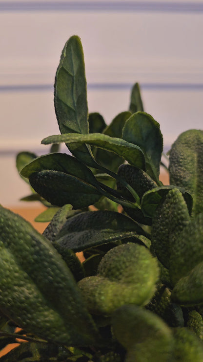 Arranjo Modern Salvia