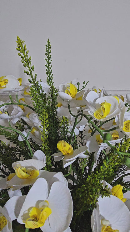 Arranjo Orquídeas Marta