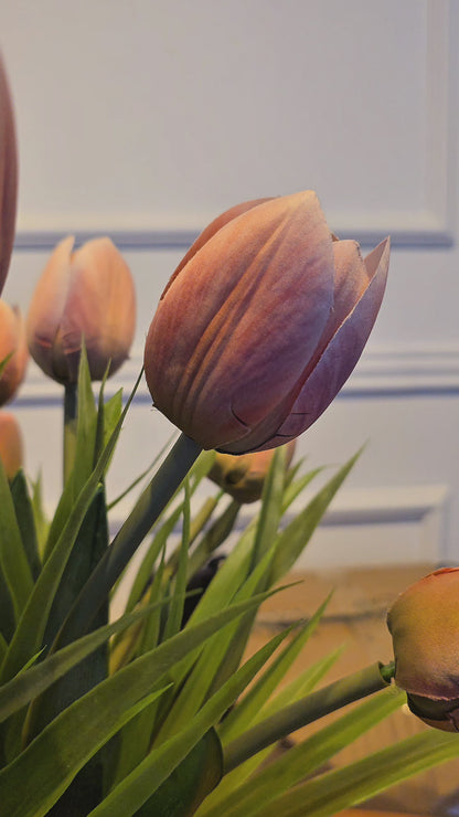 Arranjo Permanente Tulipas Aquario