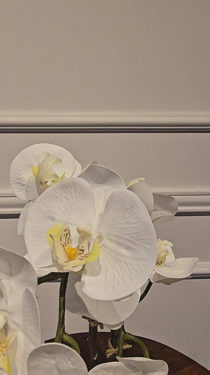 Arranjo Orquídea Dupla Silver