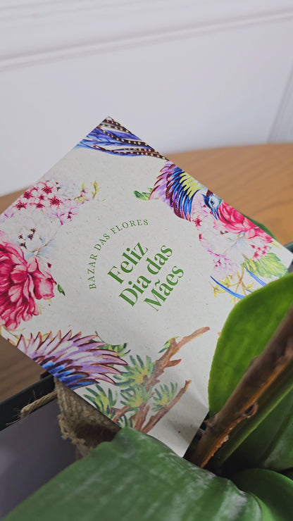 Arranjo Permanente Orquídea Branca Juta (Box Dia das Mães)