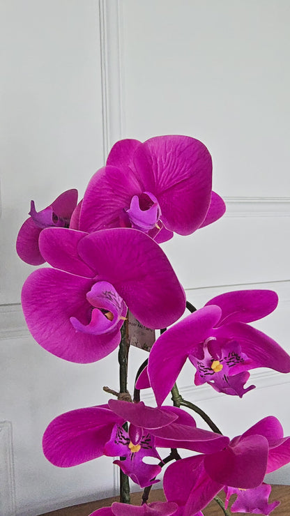Arranjo Uno Orquídea Rosa Pink