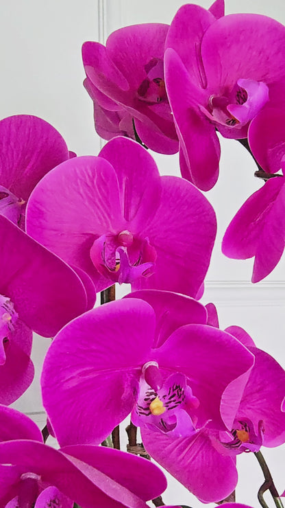 Arranjo Orquídeas Athena X3 (Rosa Pink)